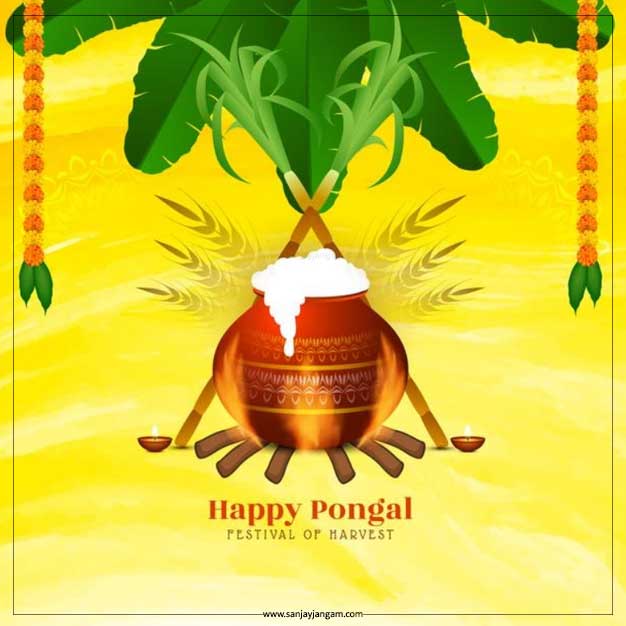 pongal kolam photos