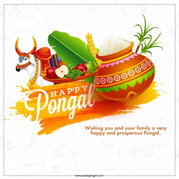 pongal paanai images