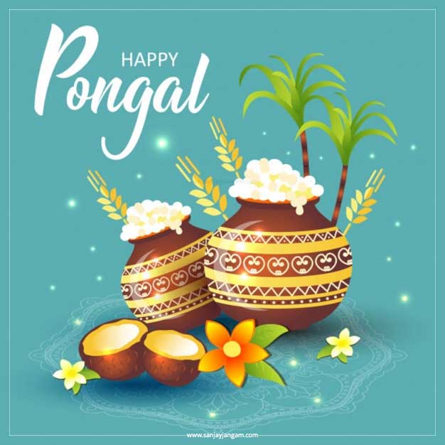 pongal photos