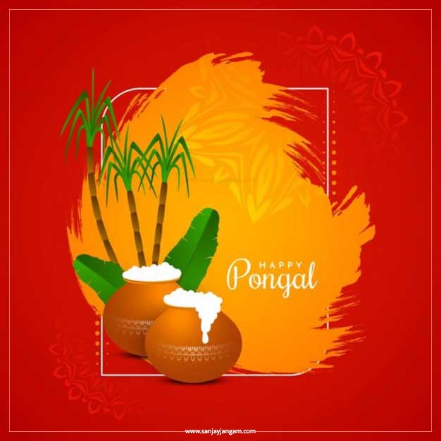 pongal pot images