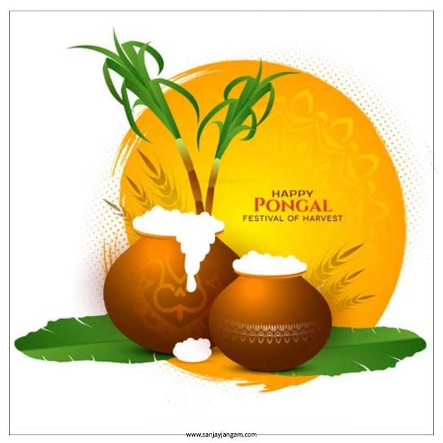 pongal pot png