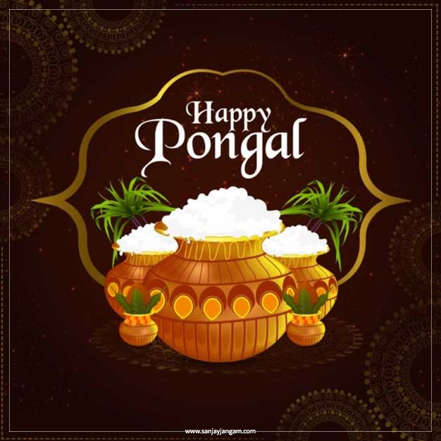 pongal wishes gif