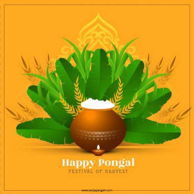 pongal wishes images