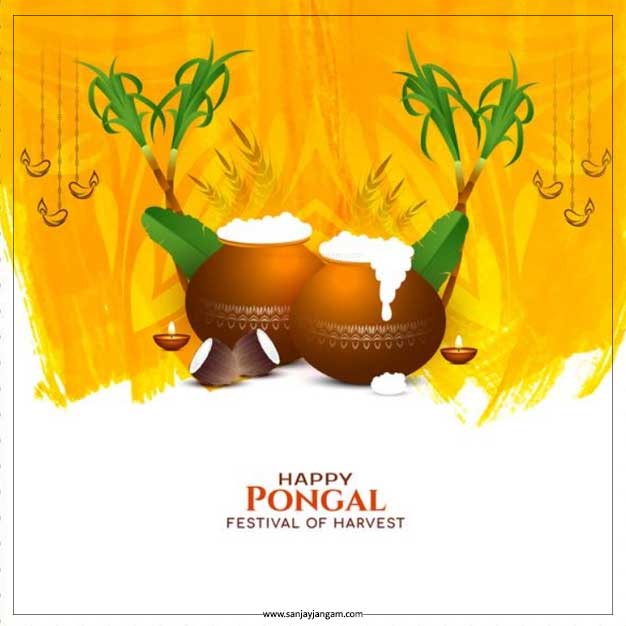 pongal wishes in english