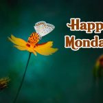 beautiful happy monday images
