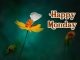 beautiful happy monday images