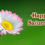 beautiful happy saturday images