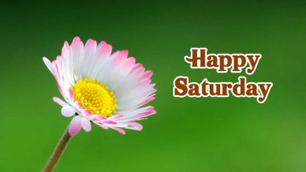 beautiful happy saturday images