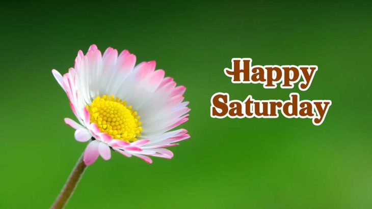 beautiful happy saturday images