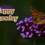beautiful happy thursday images