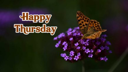 beautiful happy thursday images
