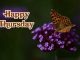 beautiful happy thursday images