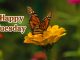 beautiful happy tuesday images