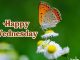 beautiful happy wednesday images