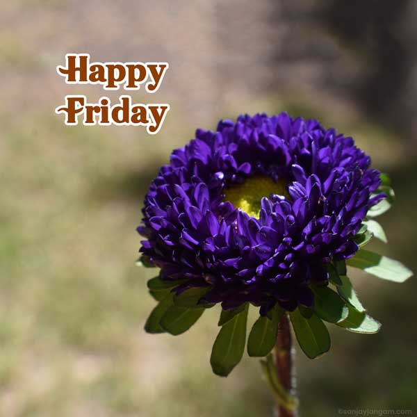 friday wishes images