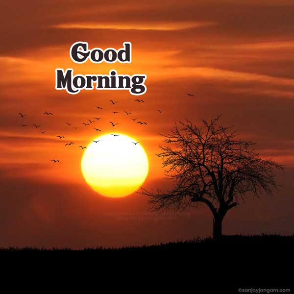 good morning beach images