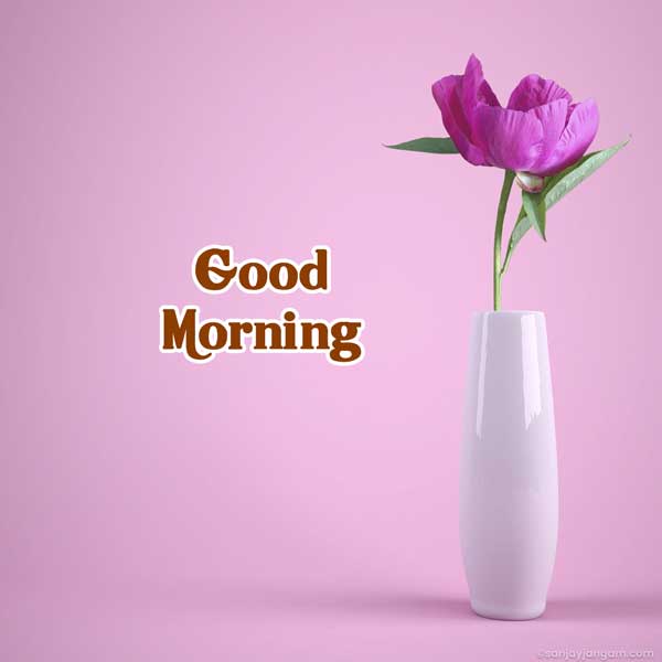 good morning friends images
