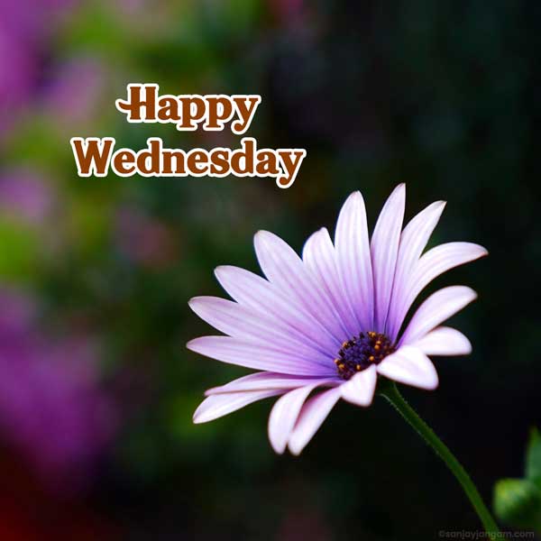 good morning god images wednesday