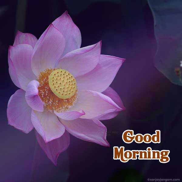 good morning god images