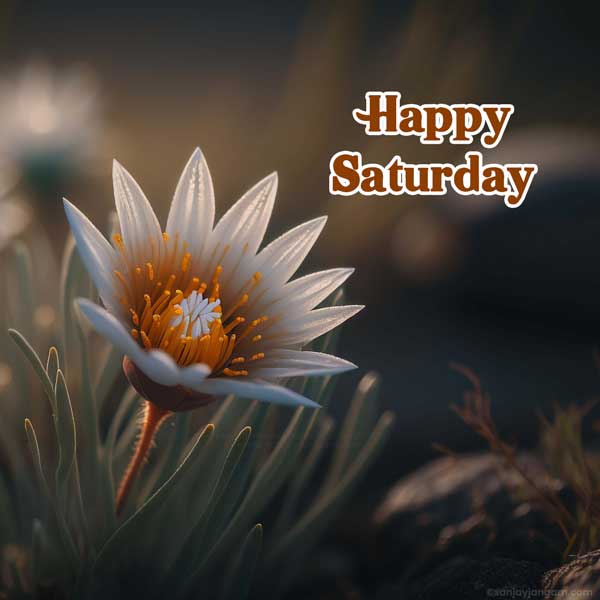 good morning happy saturday god images