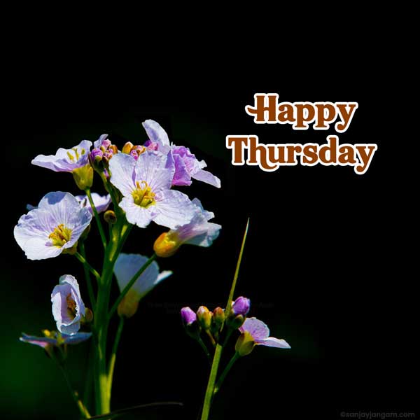 good morning happy thursday god images