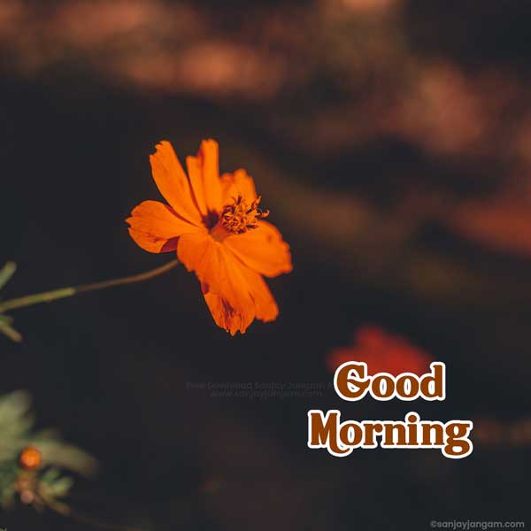 good morning images for him