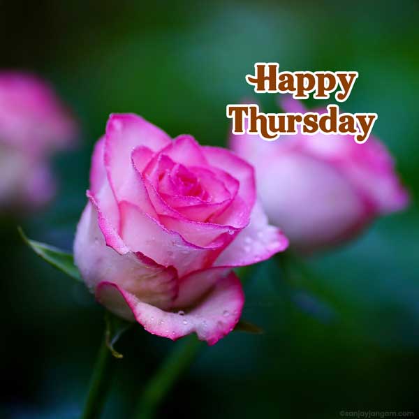 good morning images thursday