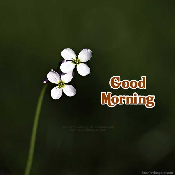 good morning images with positive words