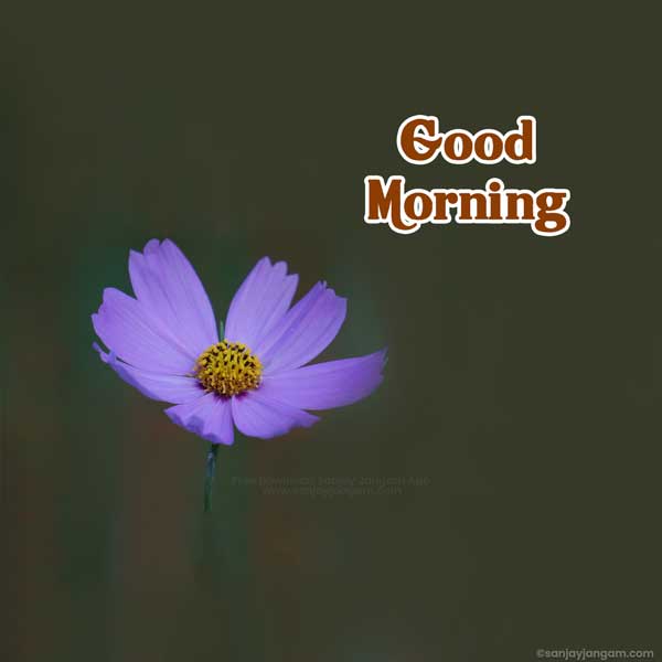 good morning images with quotes