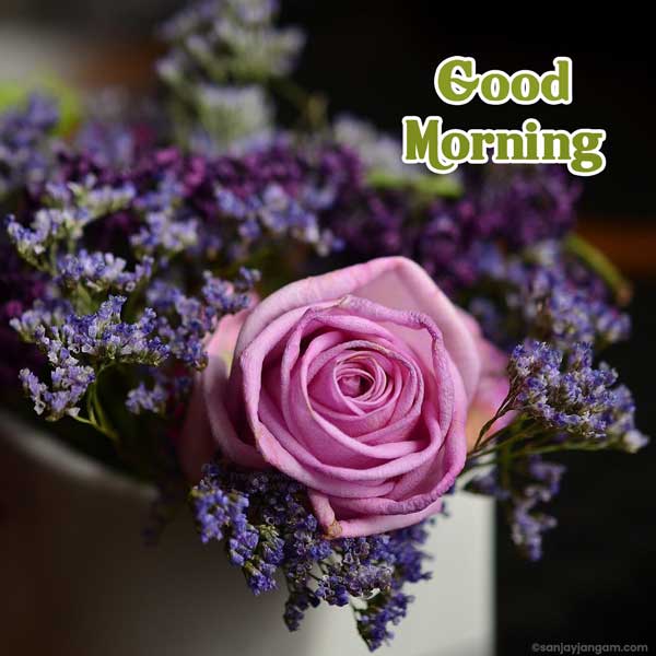 good morning love photo