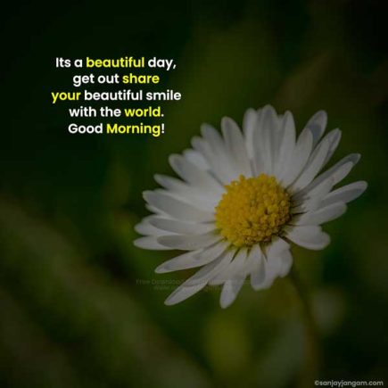 Good Morning Messages | 1000+ Good Morning Text Messages