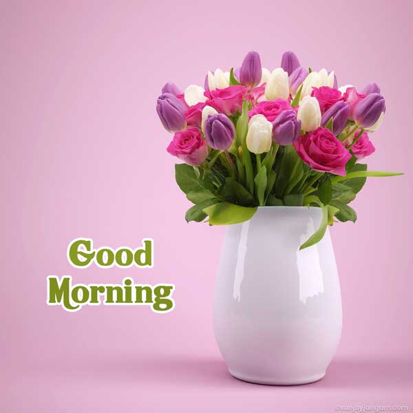 good morning pic hd