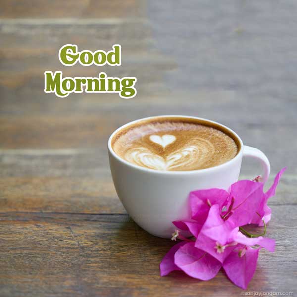 good morning tea images