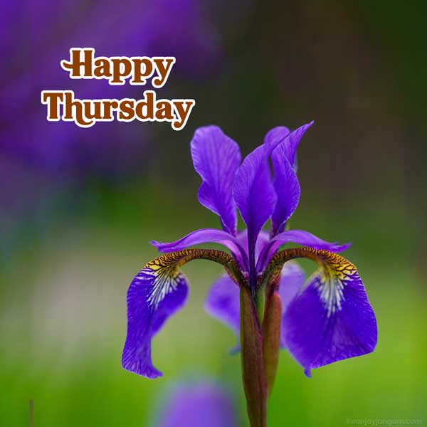 good morning thursday blessing images