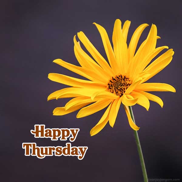 good morning thursday god images