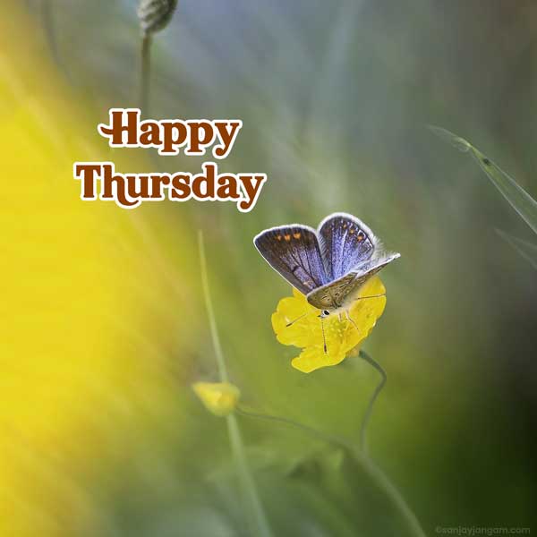 good morning thursday hd images