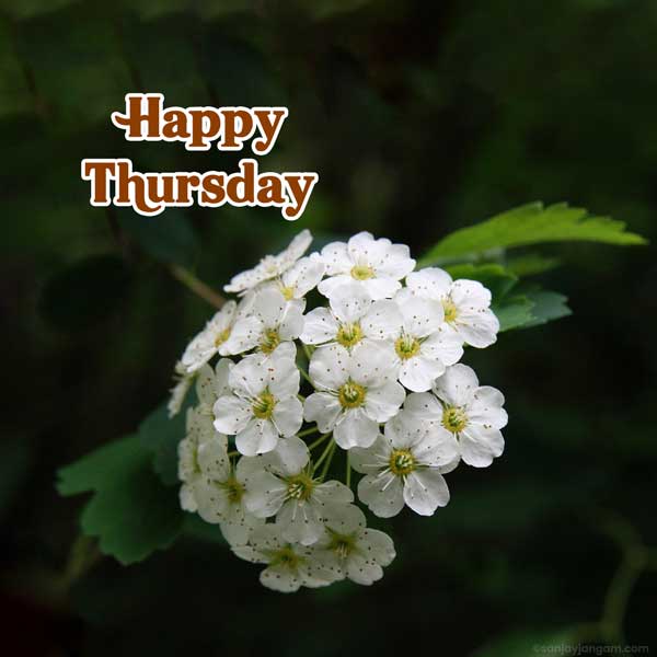 good morning thursday images god