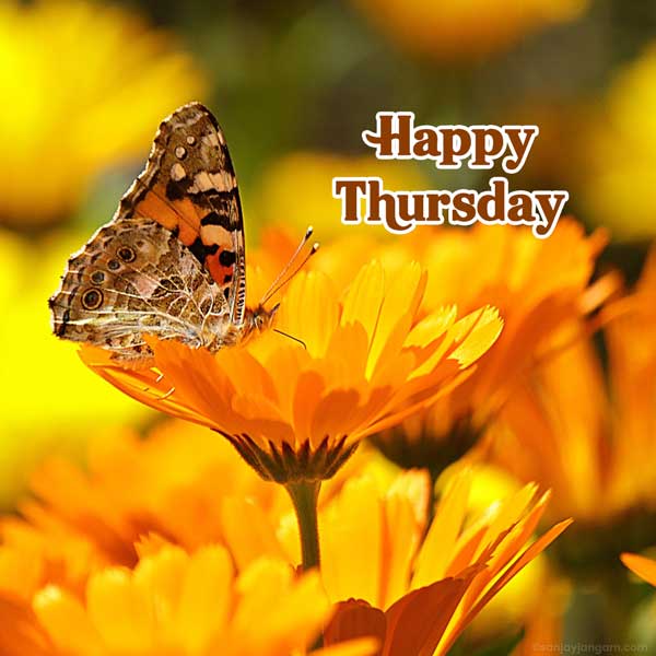 good morning thursday images hd