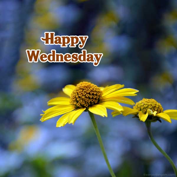 good morning wednesday blessing images