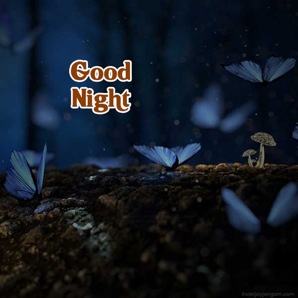 good night flowers images
