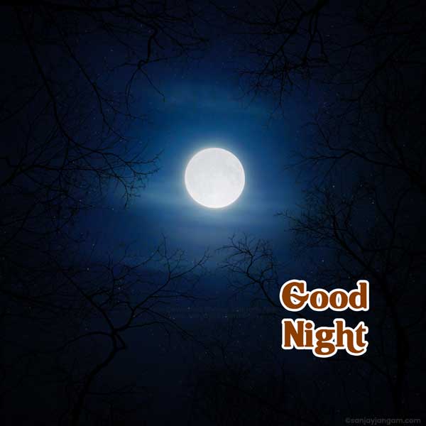 good night moon images