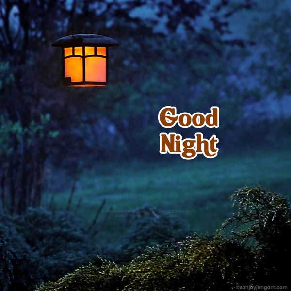 Good Night Free Hd Wallpaper Download Latest Images