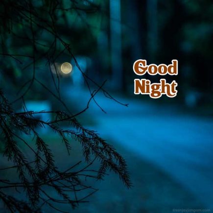 Good Night Images | 1100+ Good Night Photo & Good Night Gif