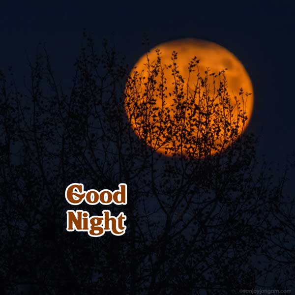 good night prayer images