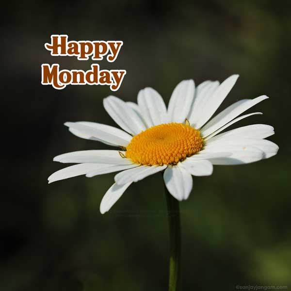 happy blessed monday images