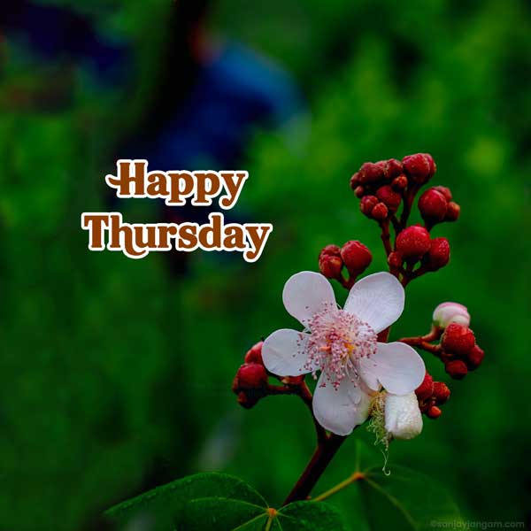 happy blessed thursday images