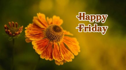 happy friday inspirational images