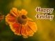 happy friday inspirational images
