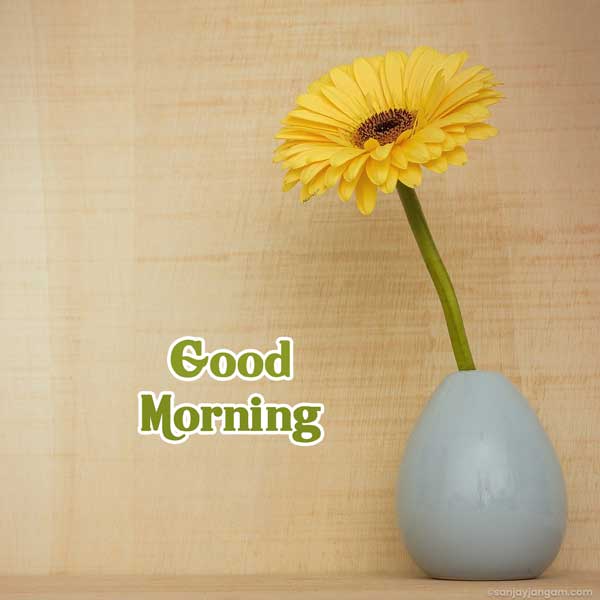 happy good morning images