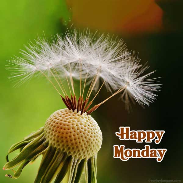 happy monday friends images